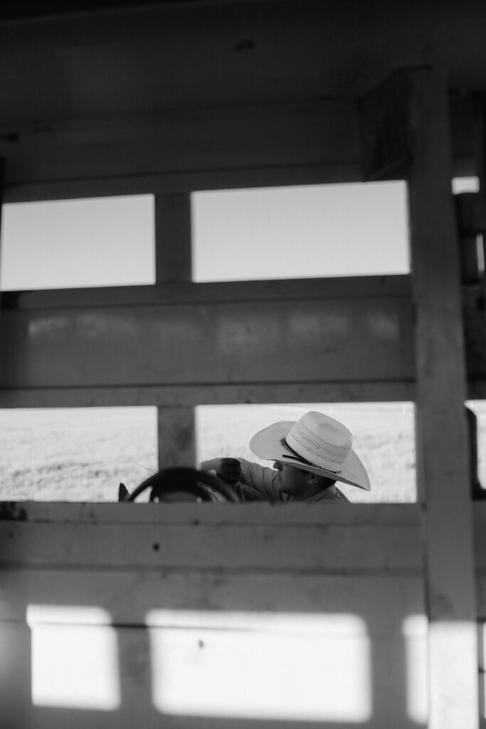 man saddling a horse along a trailer