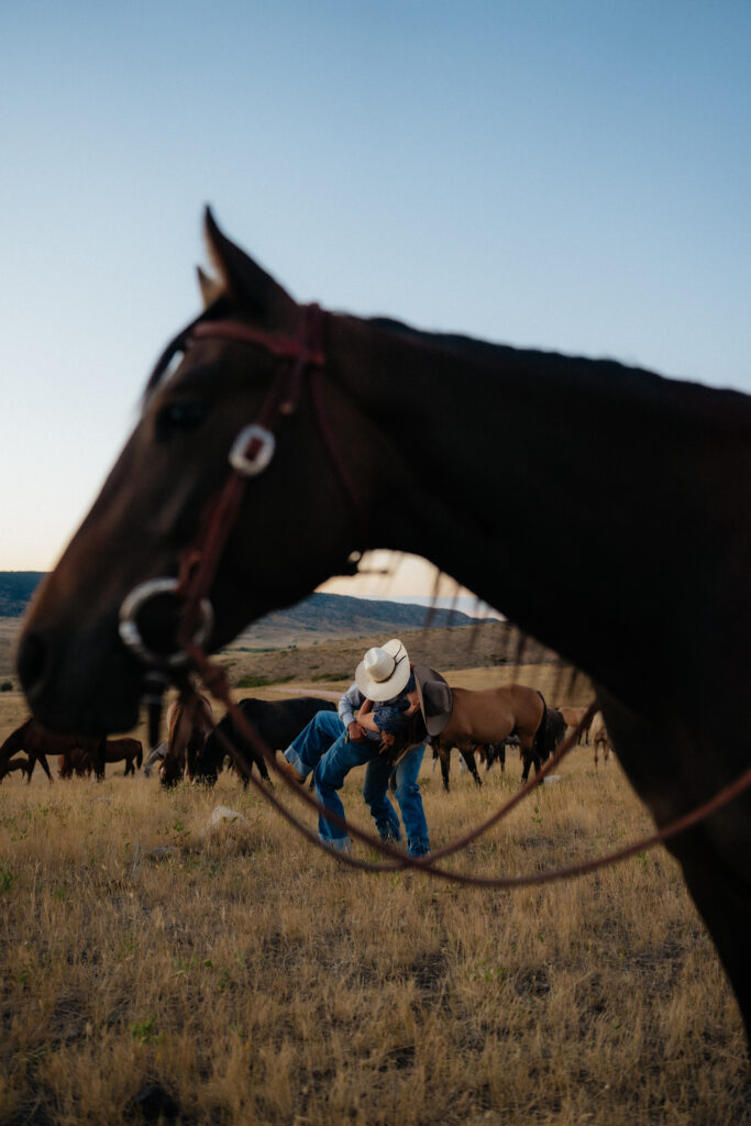 man and woman kissing with horses in the field around them
